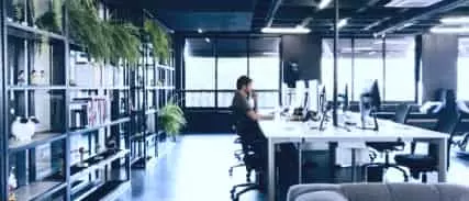 agenzia web e business online   agenzia per lo sviluppo web ed il business online